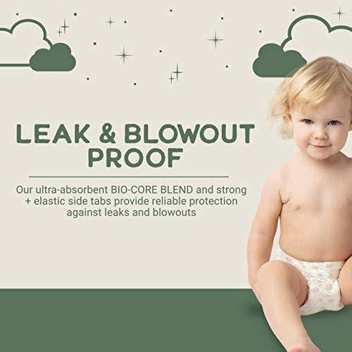 Natural Diapers, Flushable Wipes, Monthly Pack, Size 5, 136 Count X19309