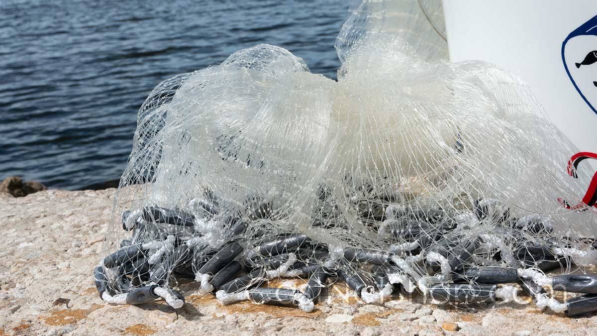 Menhaden Cast Nets S266