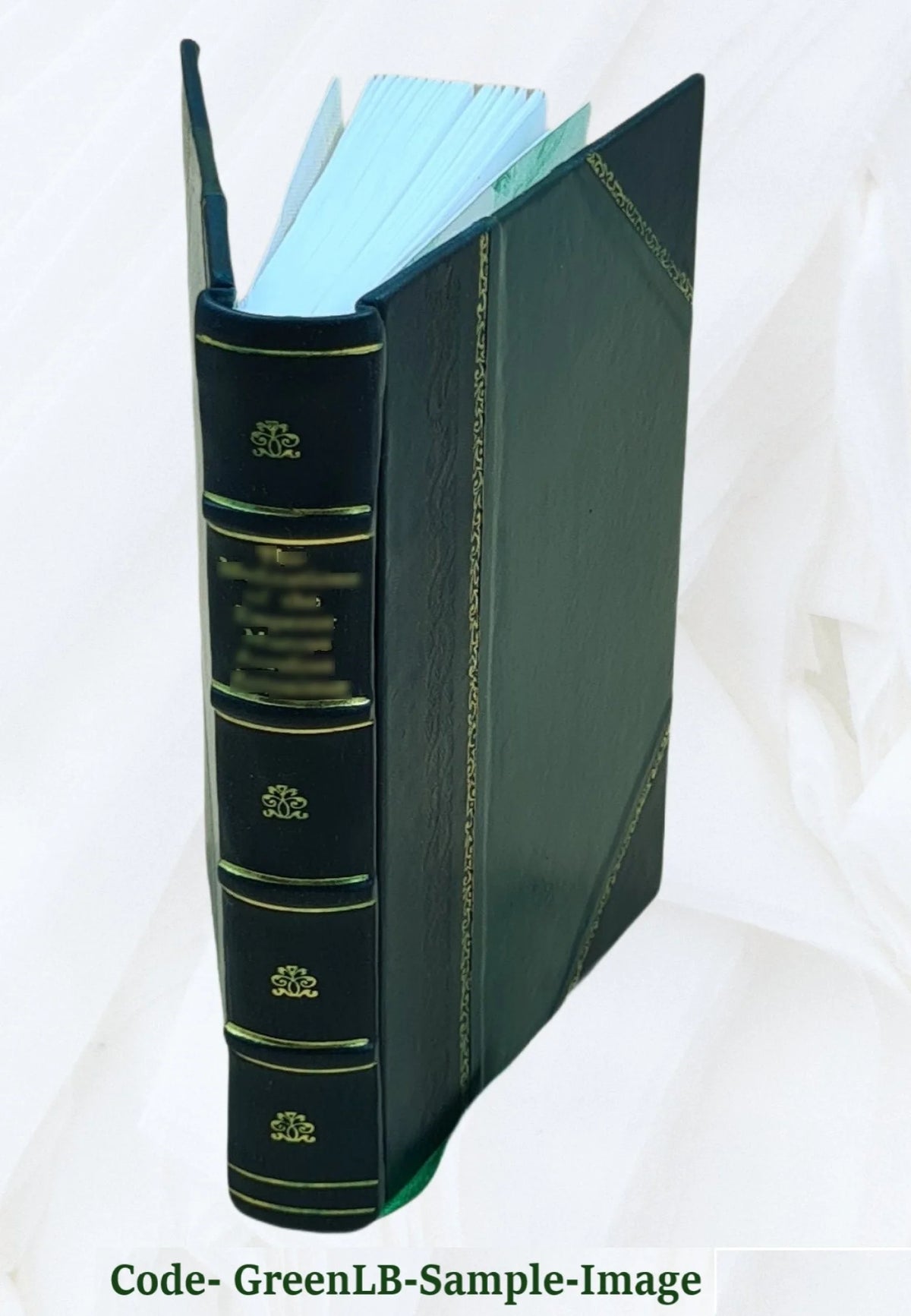 The Parnell of real life, by William O'Brien. 1926 L7110