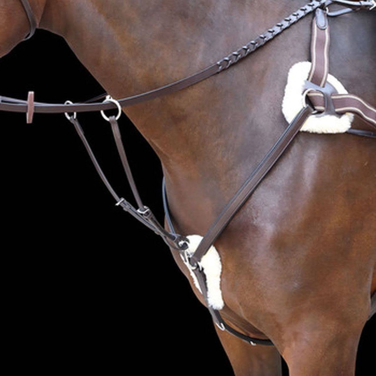 Breastplate S679057