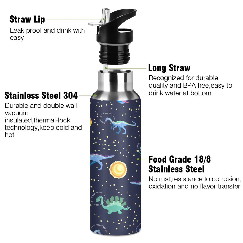 Stainless Steel Insulated Water Bottle with Straw Lid W198680