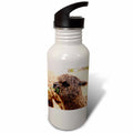 Sports Water Bottle, 21oz P944