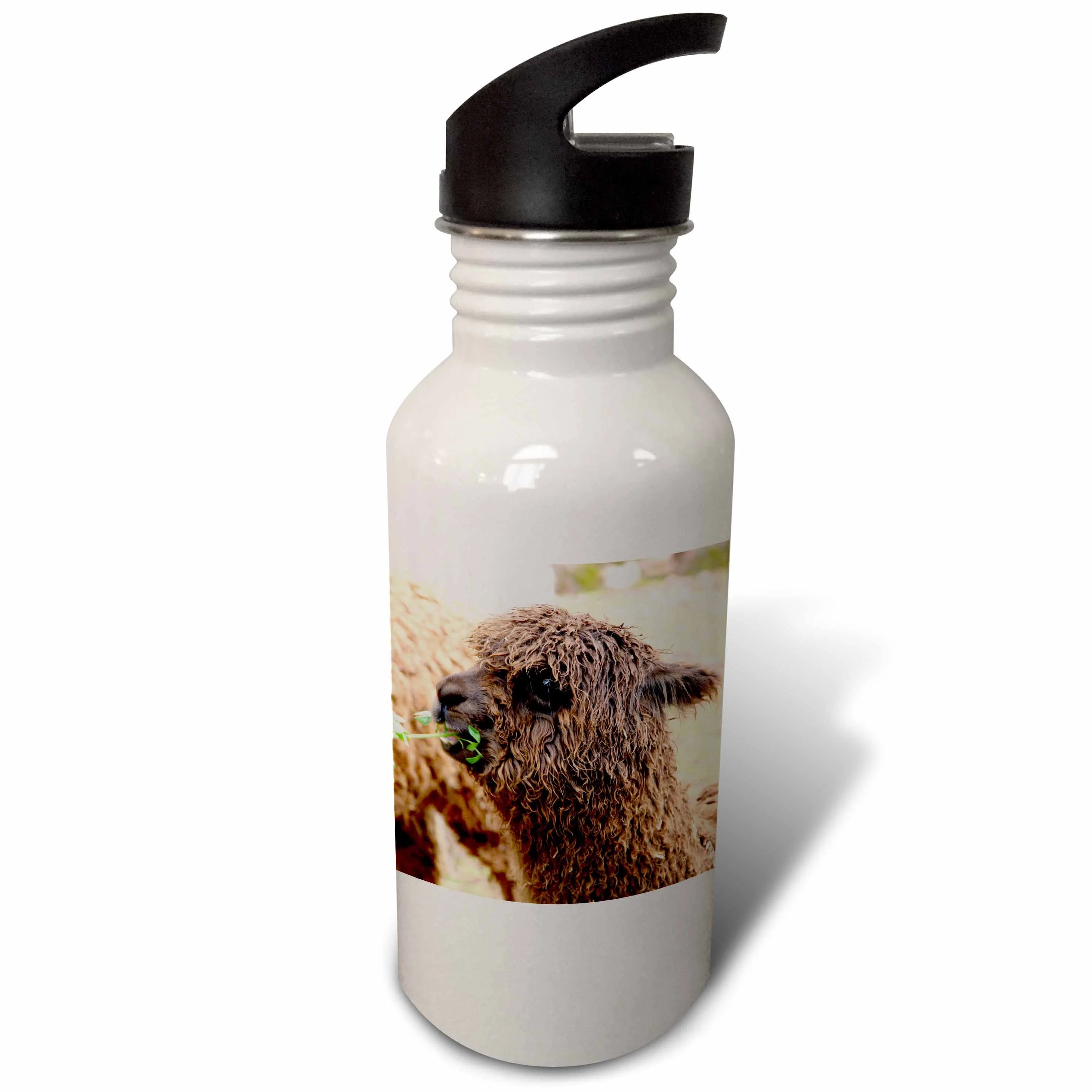 Sports Water Bottle, 21oz P944