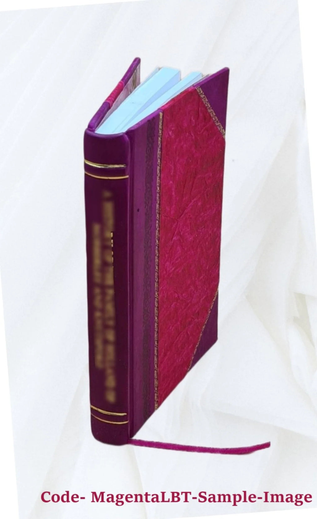 Alumni Association of the University of North Carolina Volume 12 1924 Leather Bound Z32170