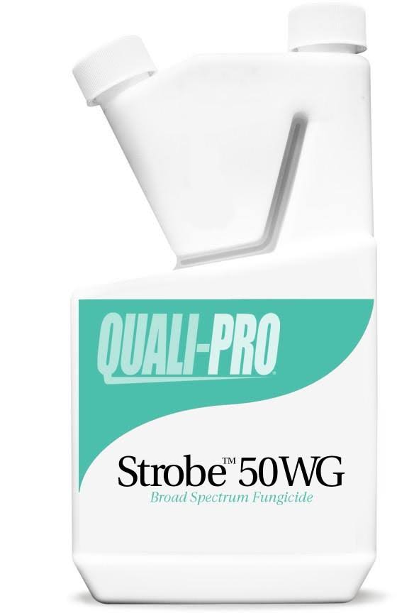Strobe 50WG Fungicide V96965
