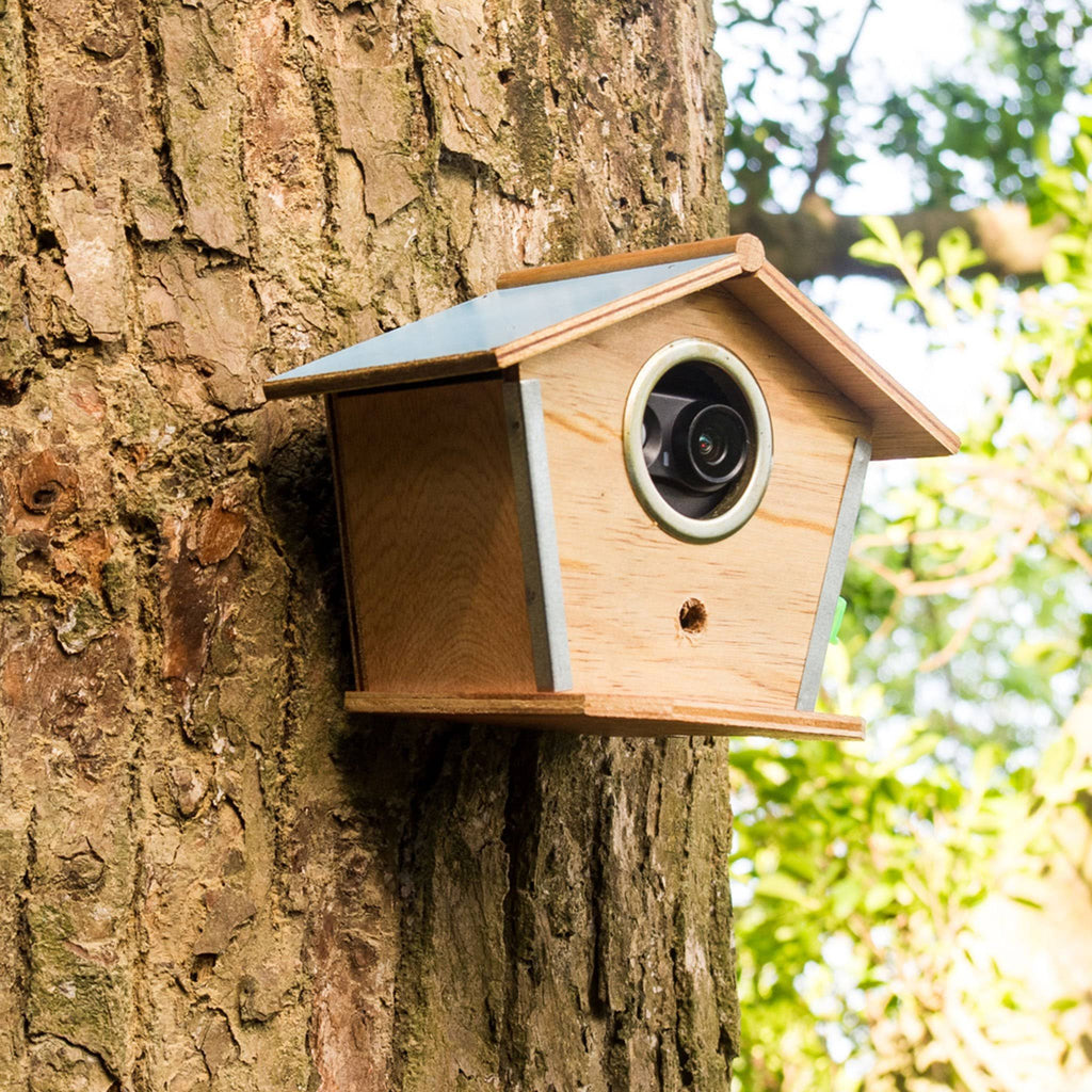 Outdoor Security Camera N14587