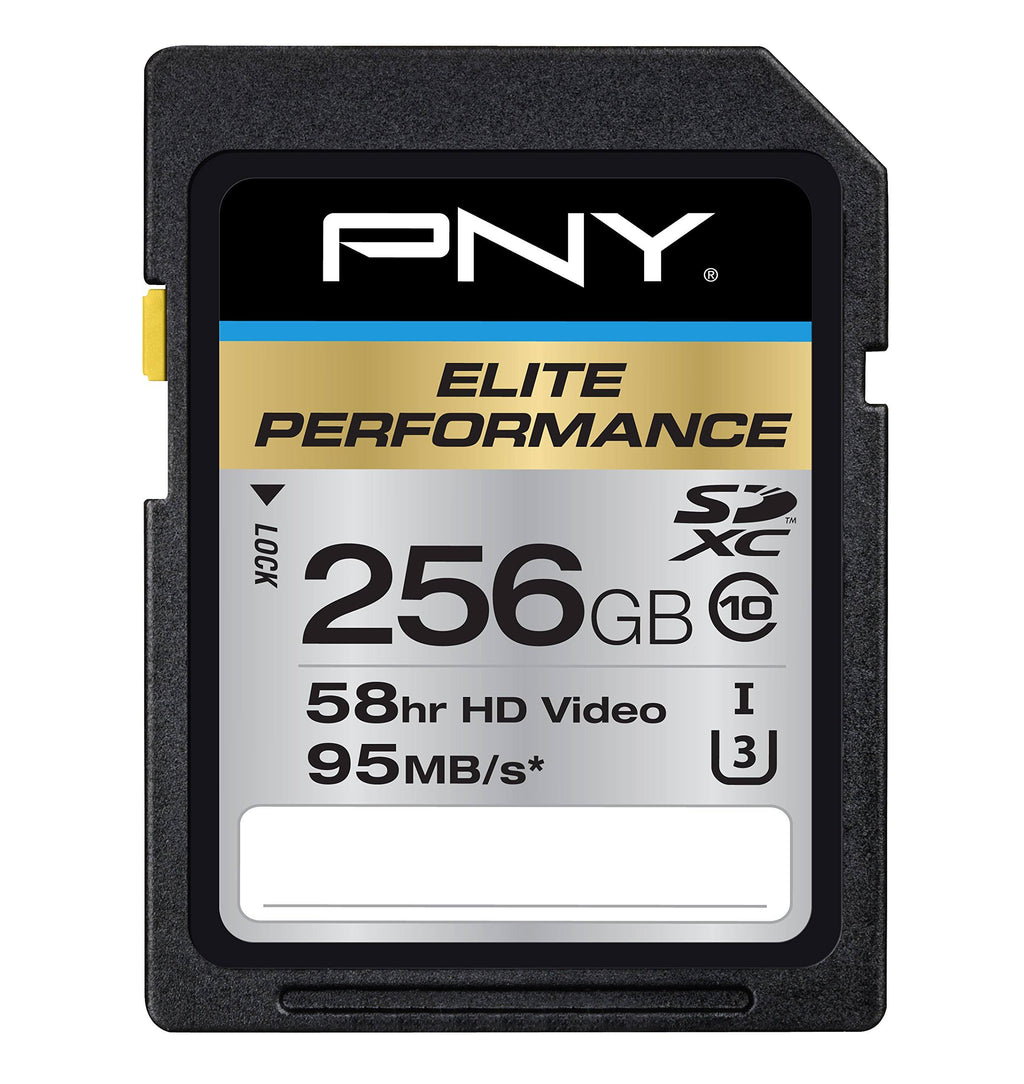 256 GB SDXC Class 10 UHS-I U3 Flash Card X3187