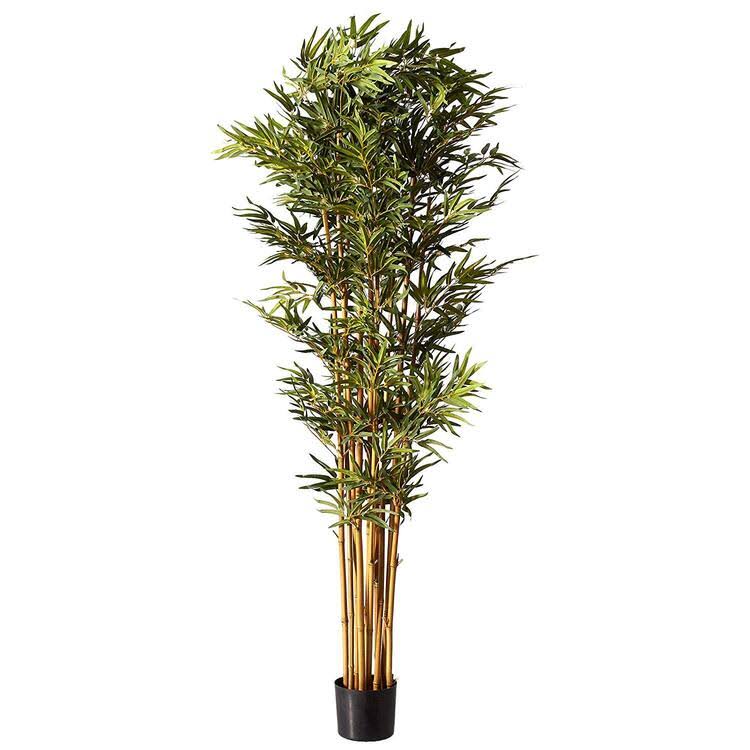 Bamboo Silk Tree H3949
