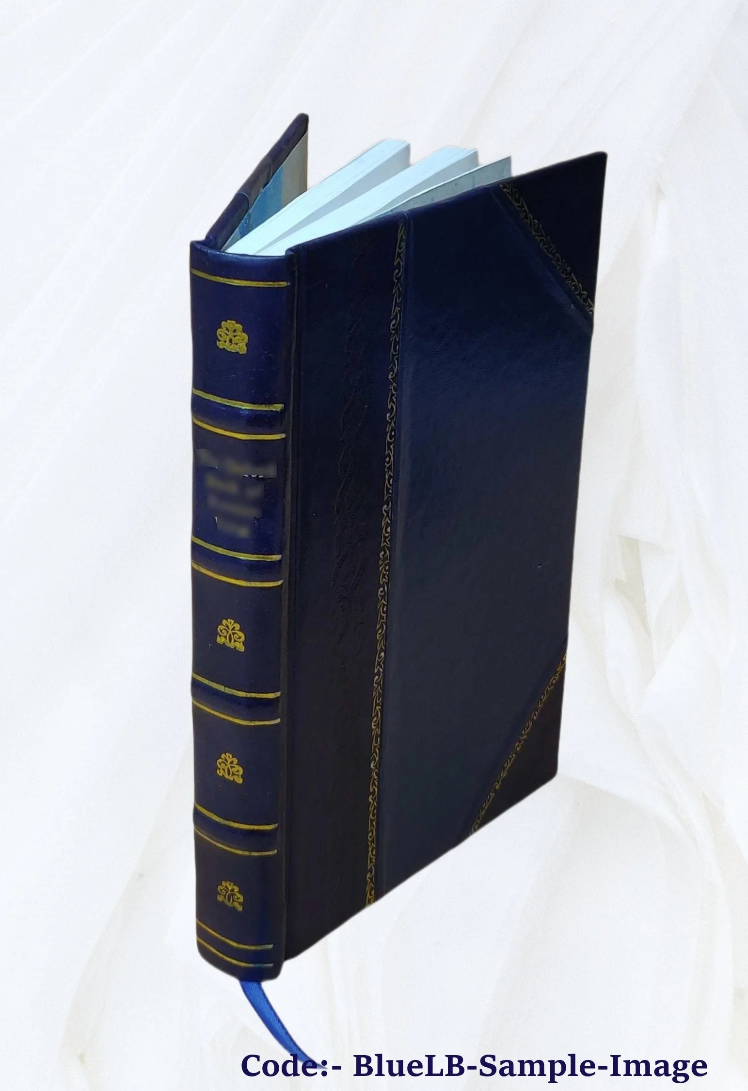 The Parnell of real life, by William O'Brien. 1926 L7110