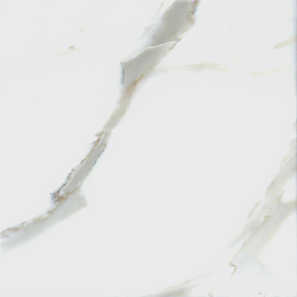18 in. x 18 in. Polished Marble Floor and Wall Tile V18423