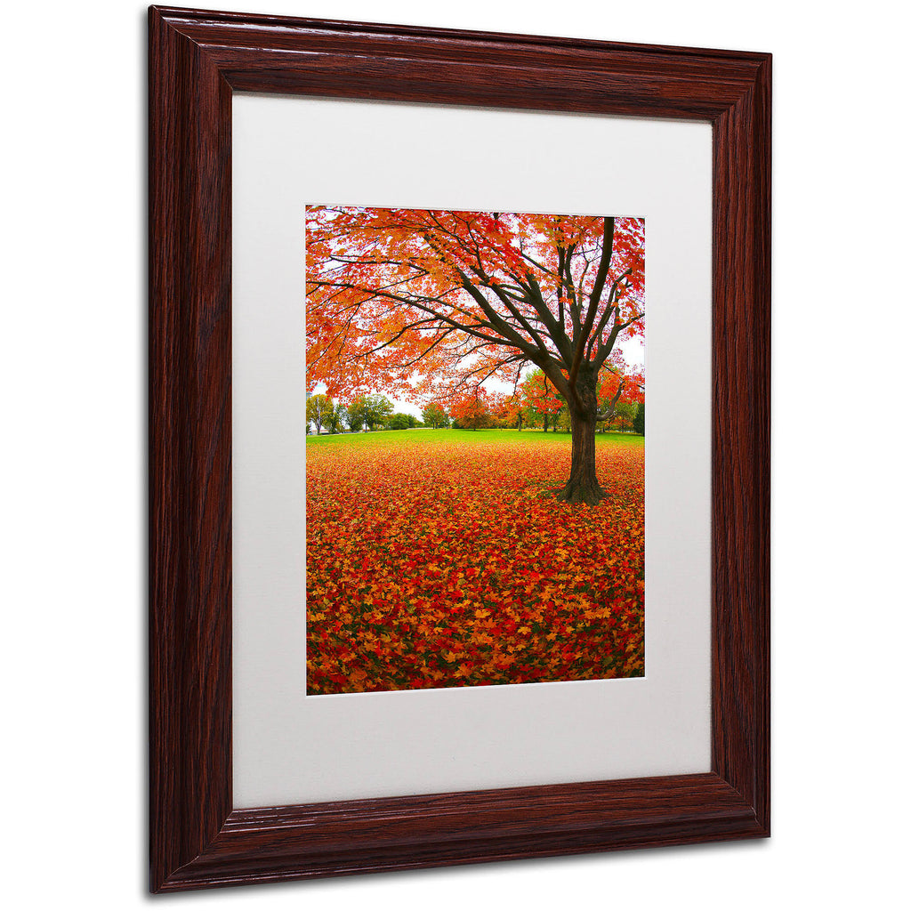 White Matte Wood Frame Art O3850