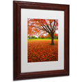 White Matte Wood Frame Art O3850