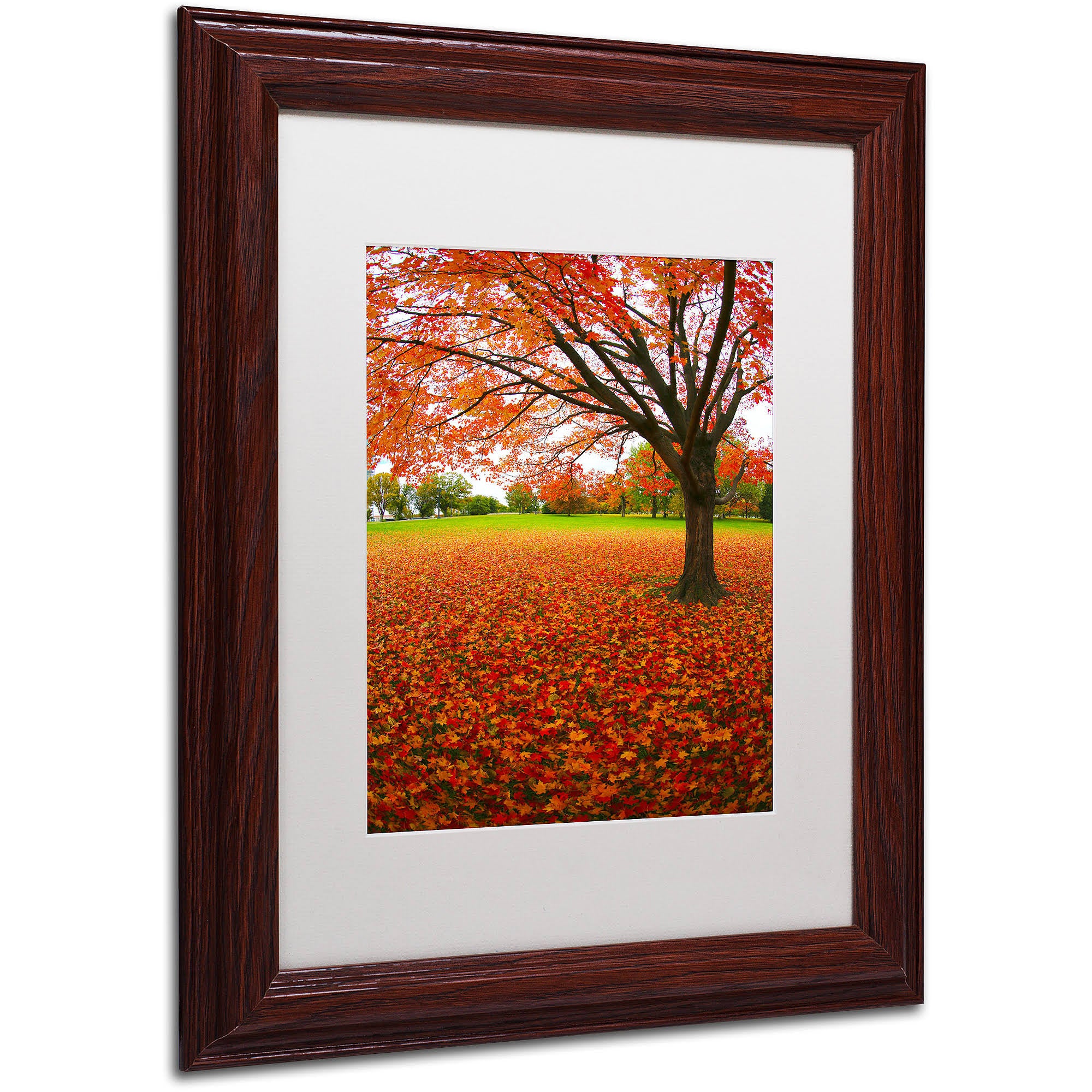 White Matte Wood Frame Art O3850