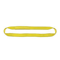 3 Ply 22 x 30 Endless Polyester Web Sling A7163