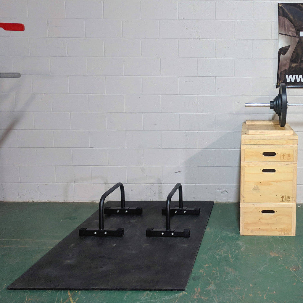 Parallette Set Y450