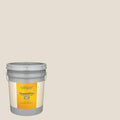 5-Gallon Exterior Paint Z6936