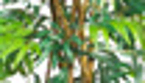 Bamboo Silk Tree H3949