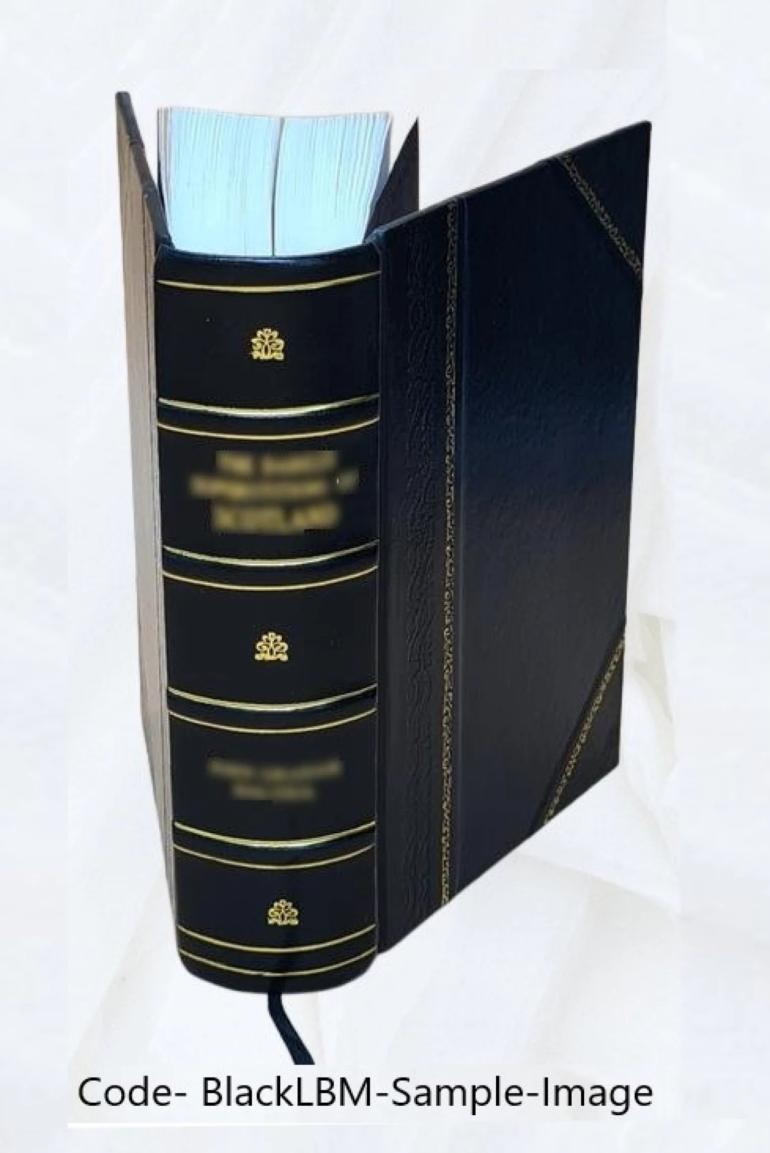 Choronica de los Descalços de la Santissª Trinidad Redentores de cautiuos : primera parte 1652 [Leather Bound] S3733