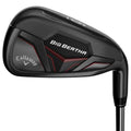 Big Bertha Irons I300539