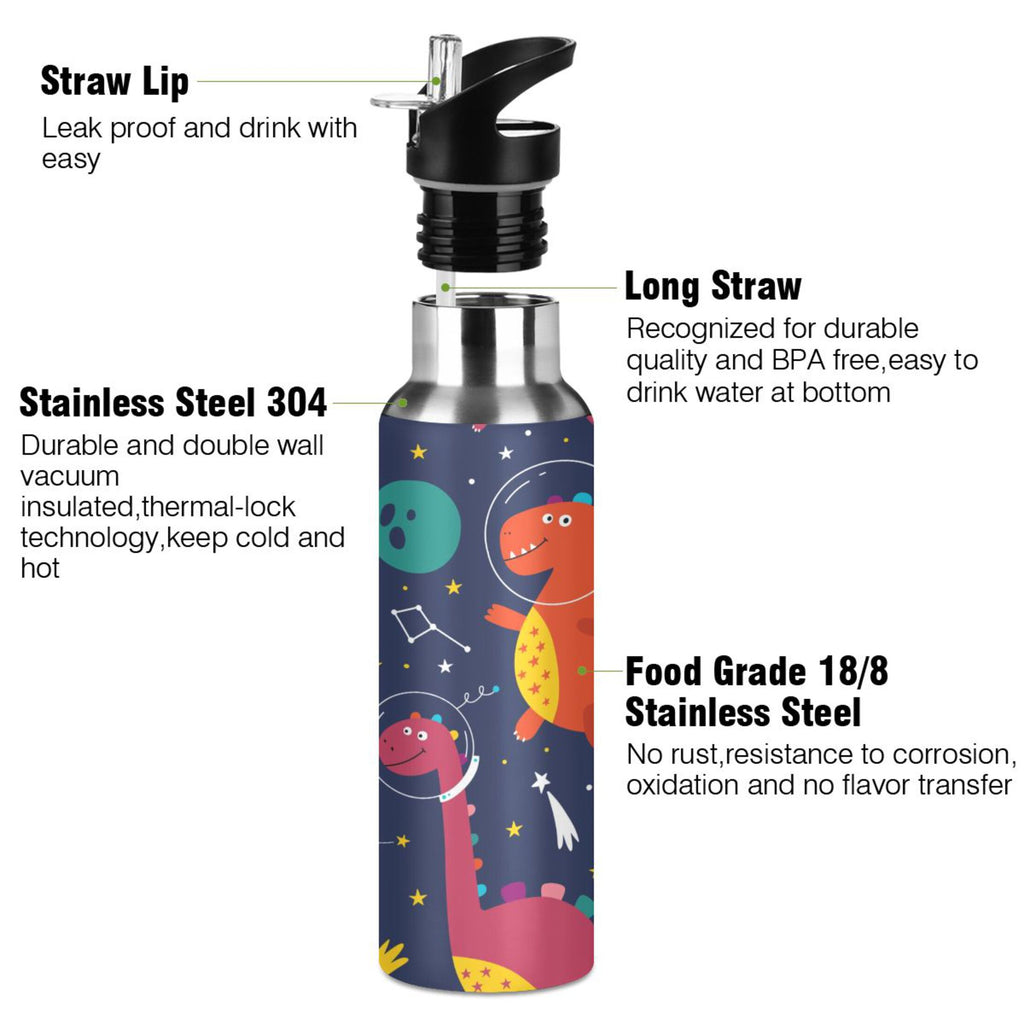 Stainless Steel Insulated Water Bottle with Straw Lid I198