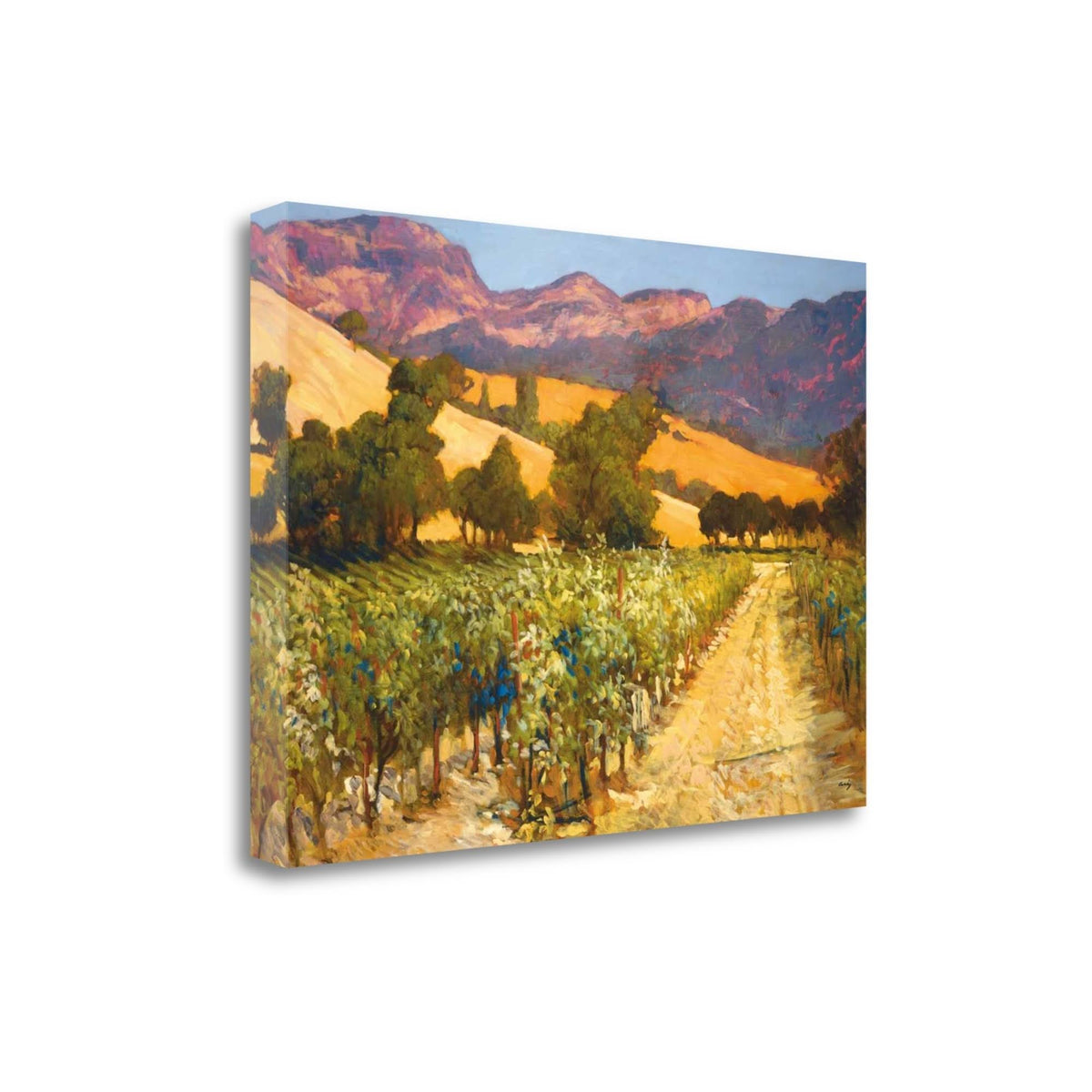 Giclee Print on Gallery Wrap Canvas P3136