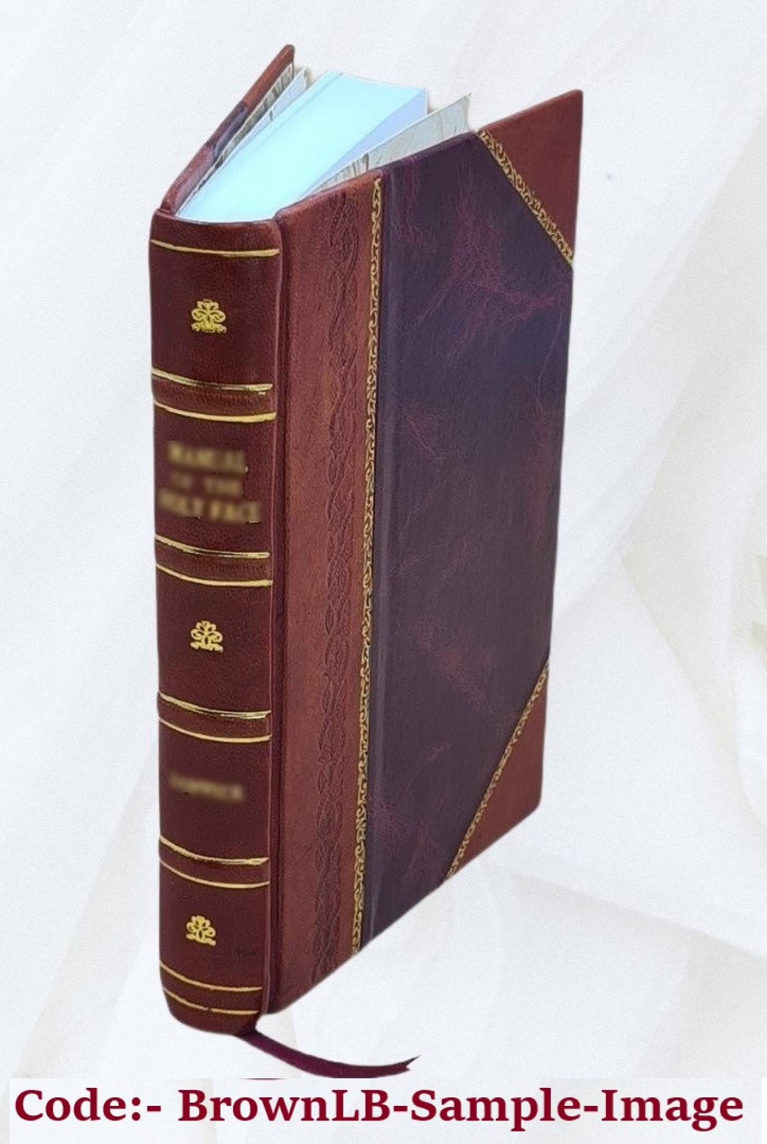 The Parnell of real life, by William O'Brien. 1926 L7110