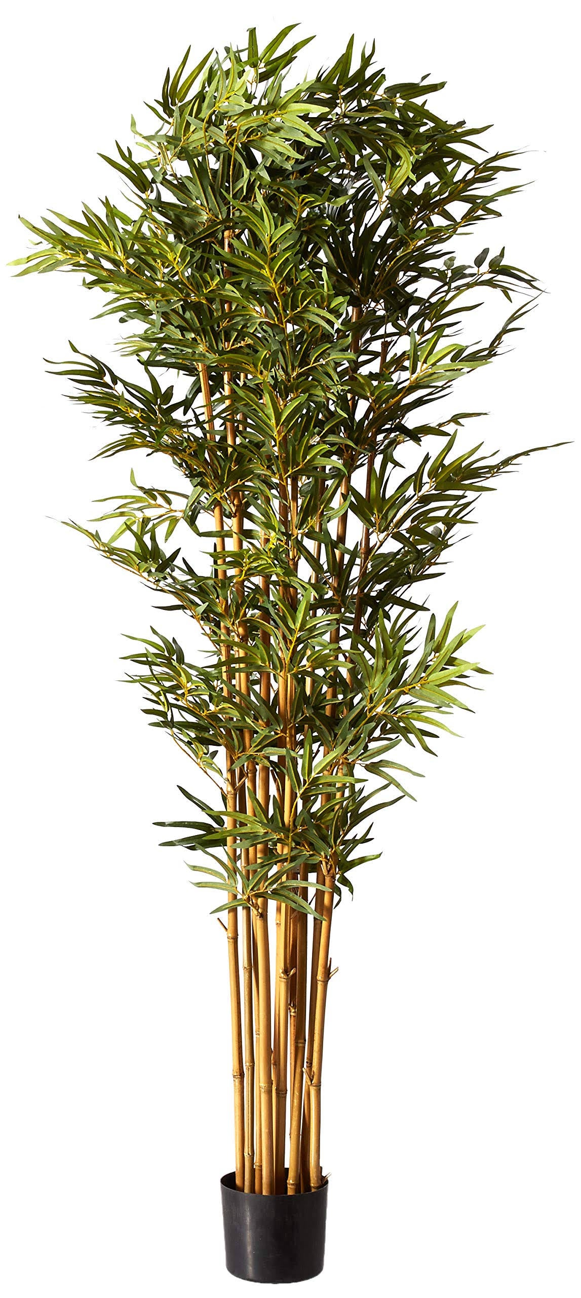 Bamboo Silk Tree H3949