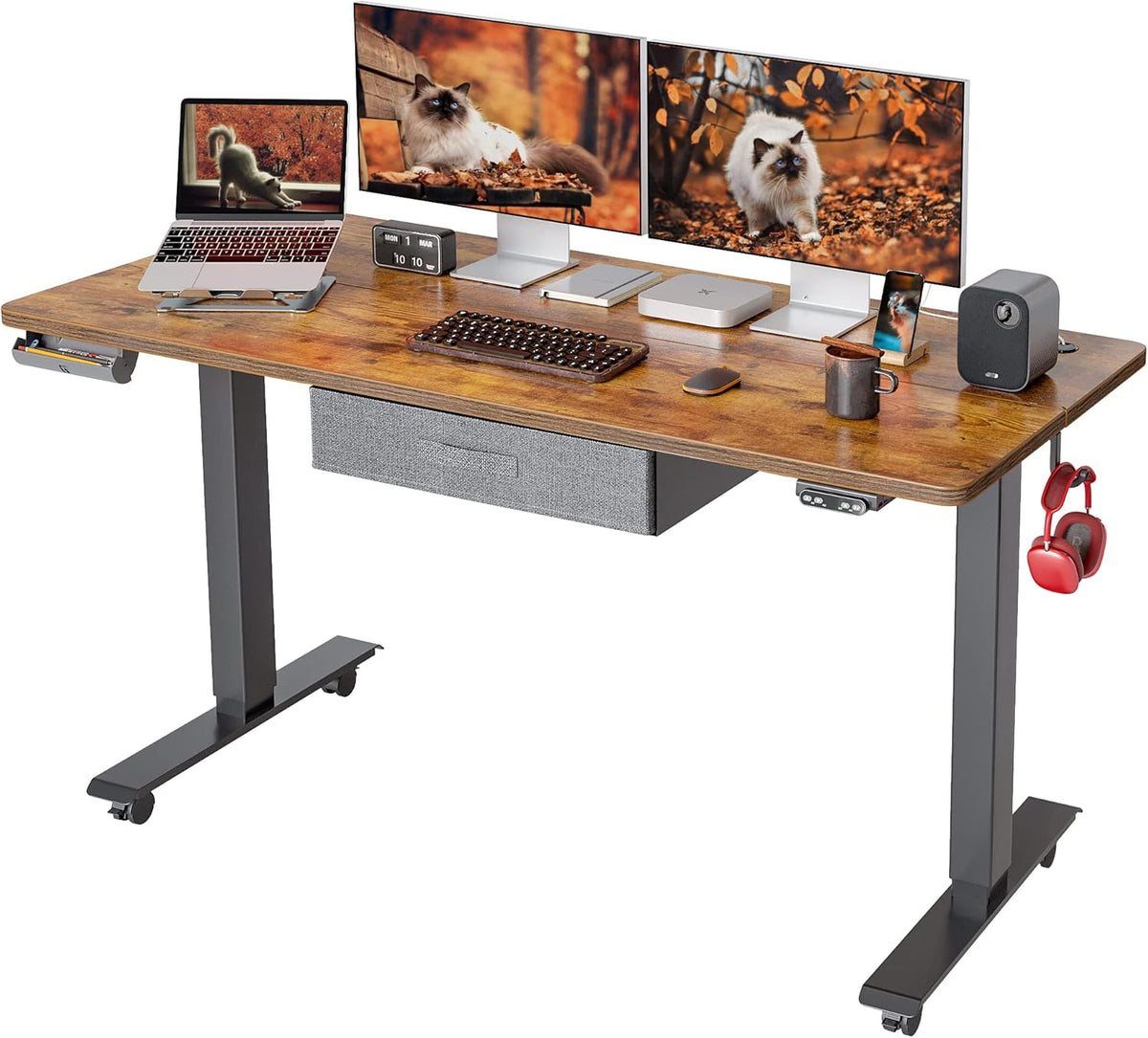 Adjustable Height Electric Standing Desk with Drawer, 55 x 24 Inches Black Steel Frame/Rustic Brown Tabletop X933012