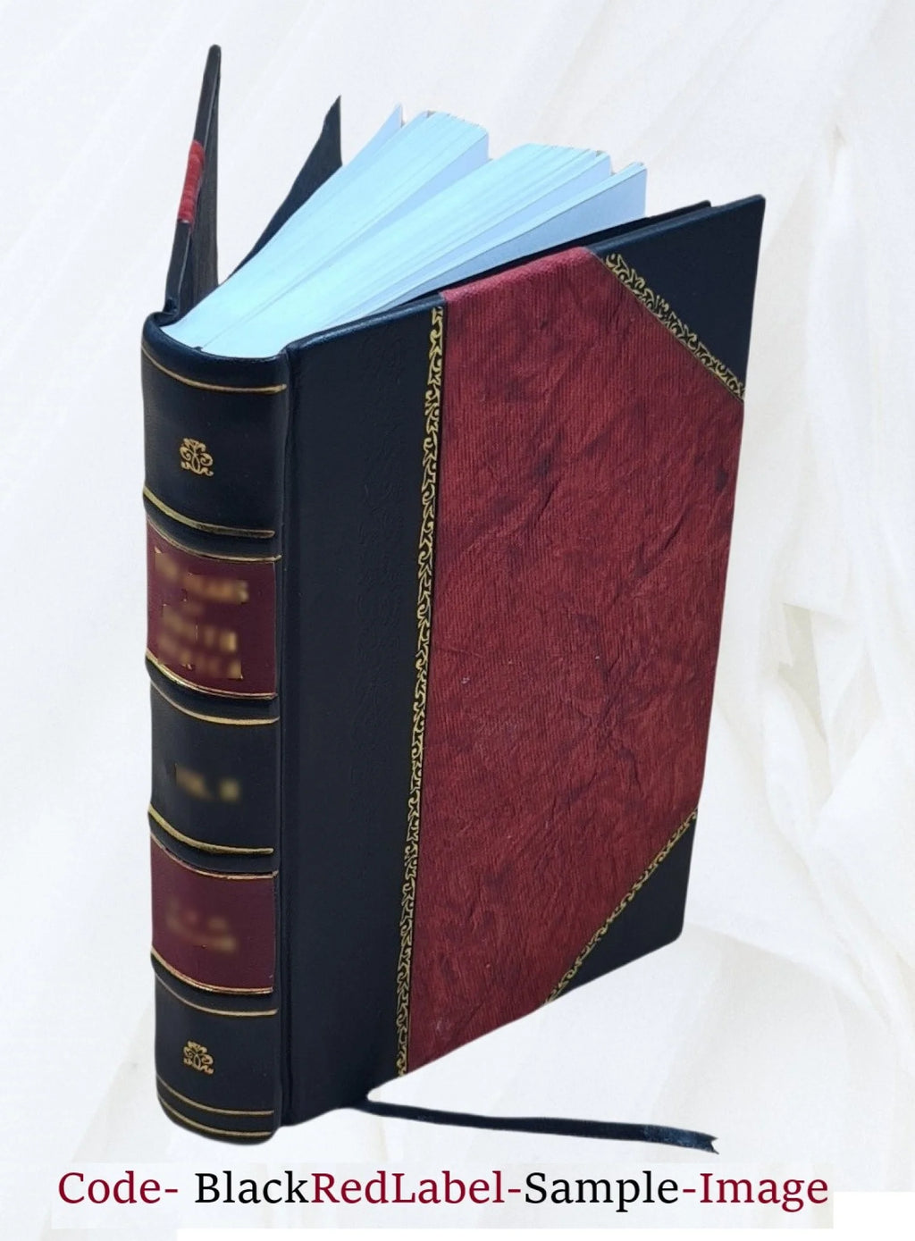 The Parnell of real life, by William O'Brien. 1926 L7110