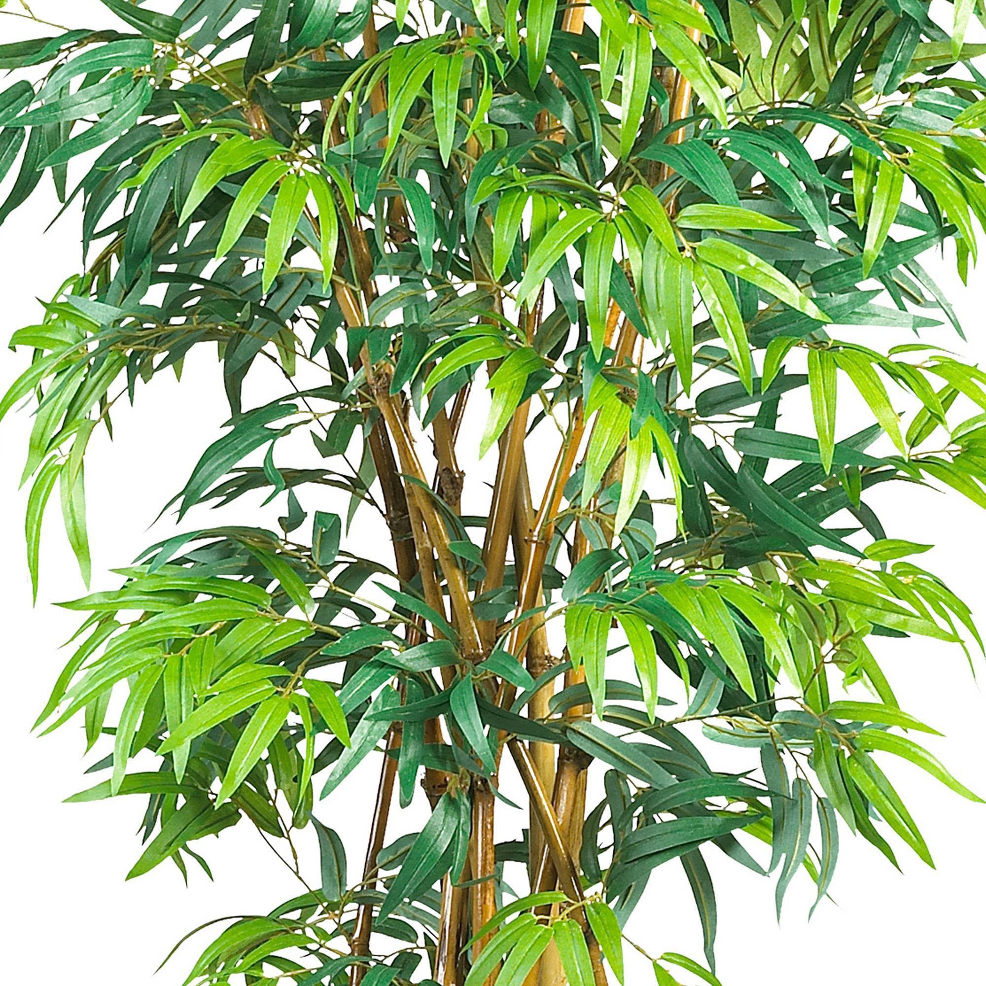 Bamboo Silk Tree H3949